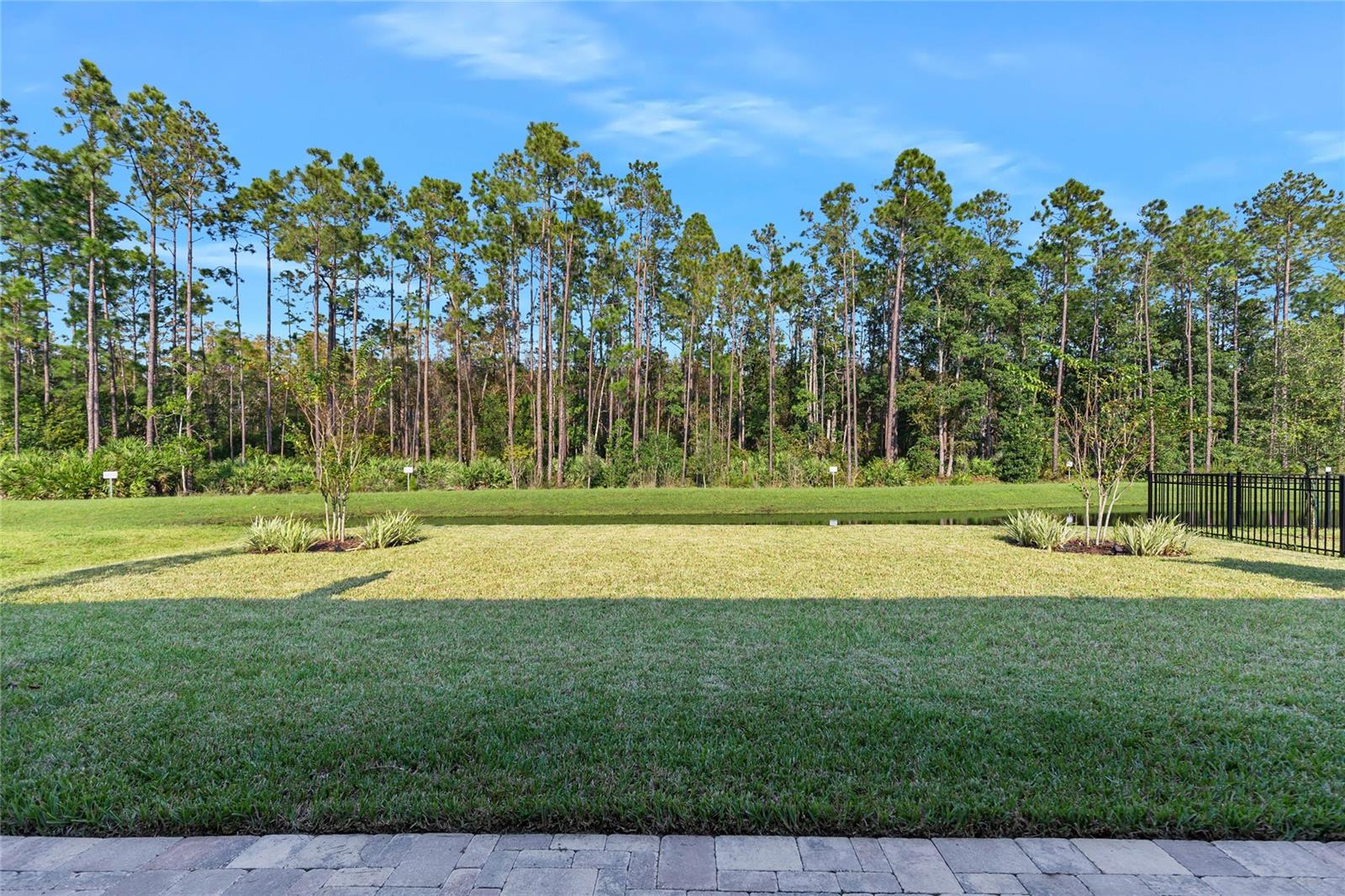 Image 64 of 65 For 126 Wood Stork Lane