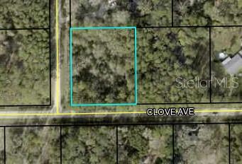 Details for 3686 Clove Avenue, BUNNELL, FL 32110