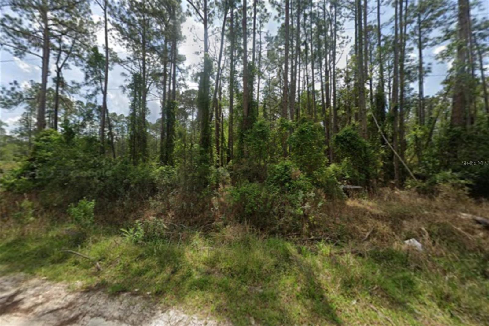 Details for 105 Pine Cone Drive, GEORGETOWN, FL 32139