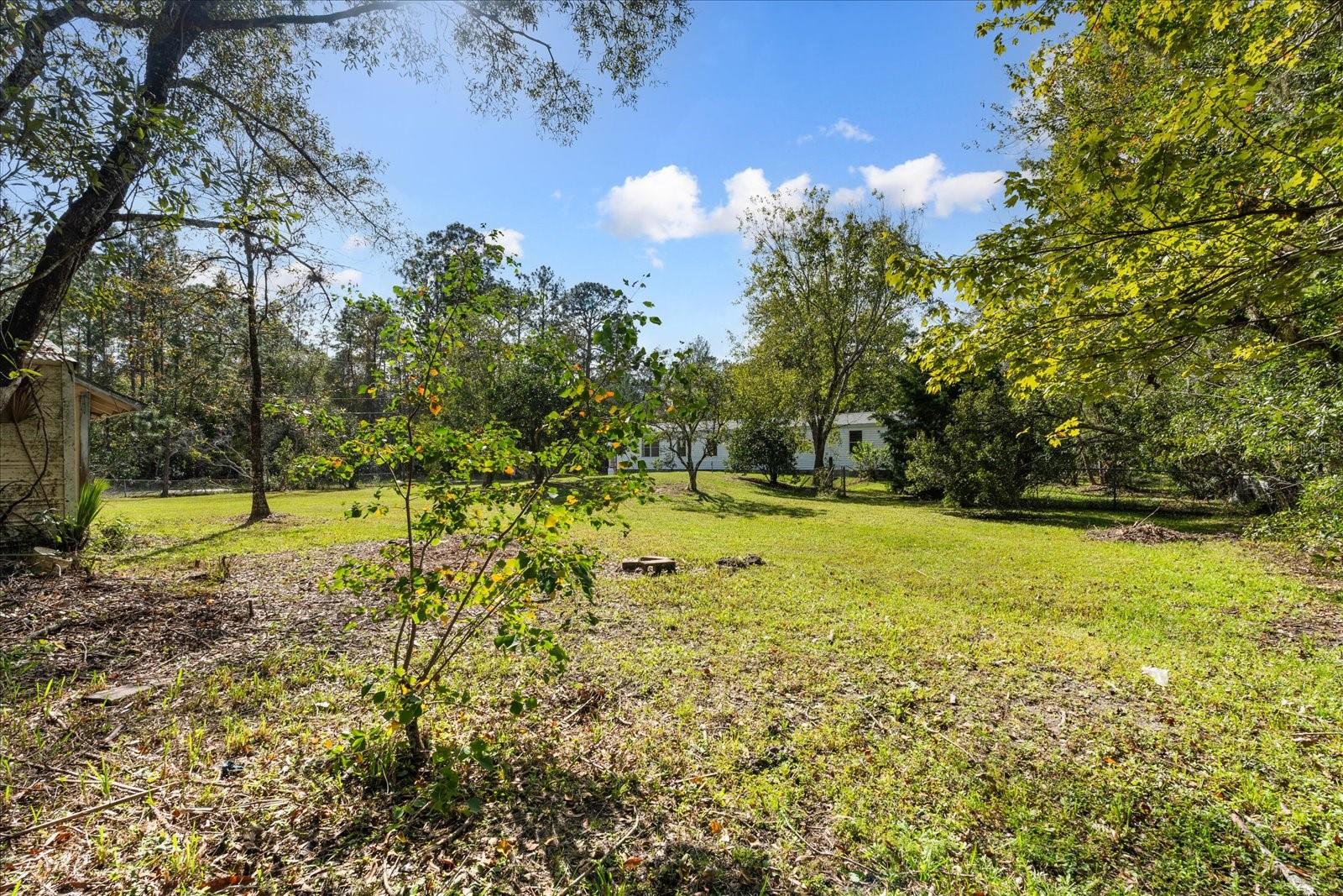 Image 47 of 50 For 2667 Redwood Street