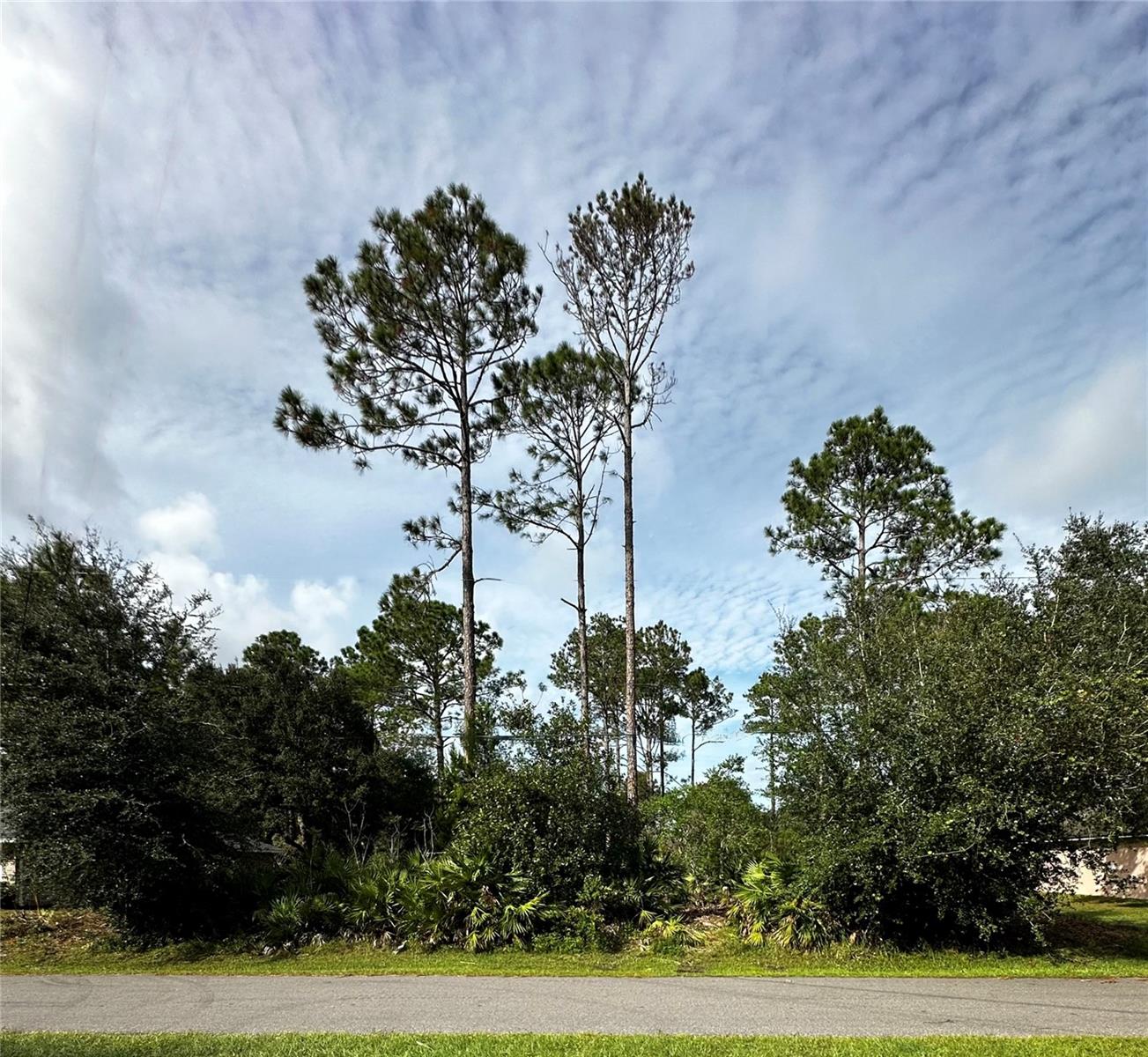 Details for 53 Sleepy Hollow Trail, PALM COAST, FL 32164