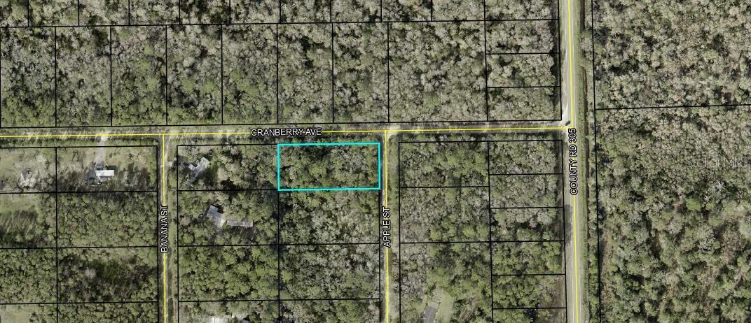 Details for 3615 Cranberry Ave Avenue, BUNNELL, FL 32110