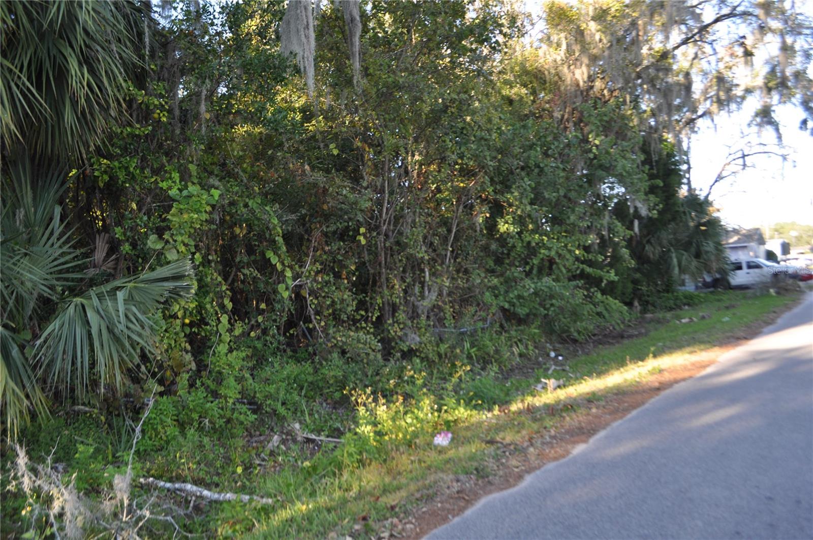 Image 2 of 3 For Dr Martin Luther King Jr. Avenue