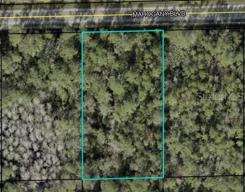 Details for 5845 Mahogany Boulevard, BUNNELL, FL 32110