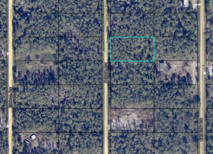 Details for 10680 Delgado Avenue, HASTINGS, FL 32145