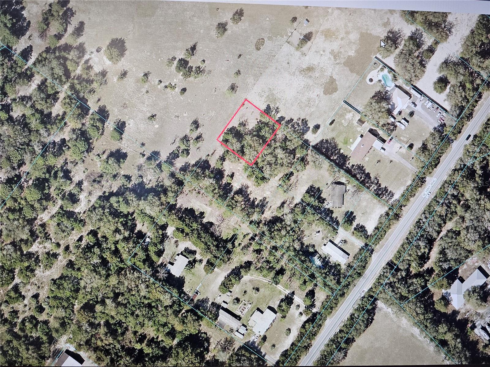 Listing Details for Highway 464c  016, OCKLAWAHA, FL 32179