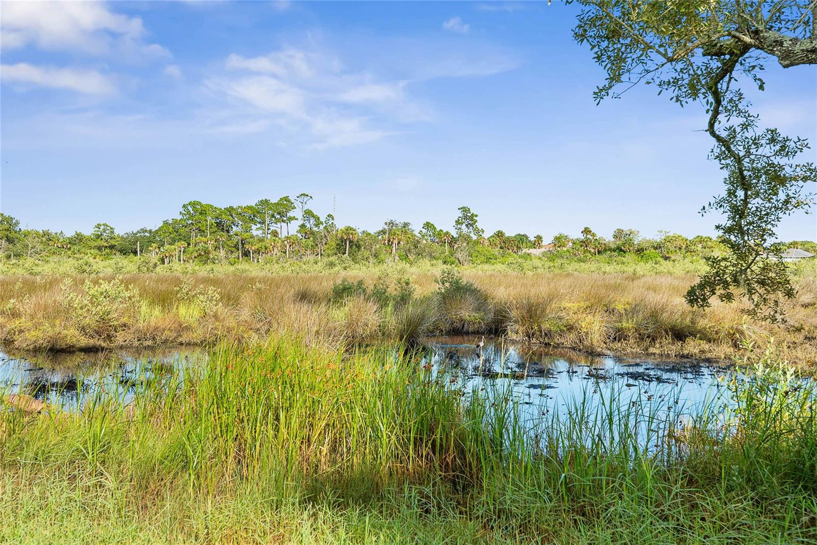 Image 88 of 98 For 68 Colechester Lane