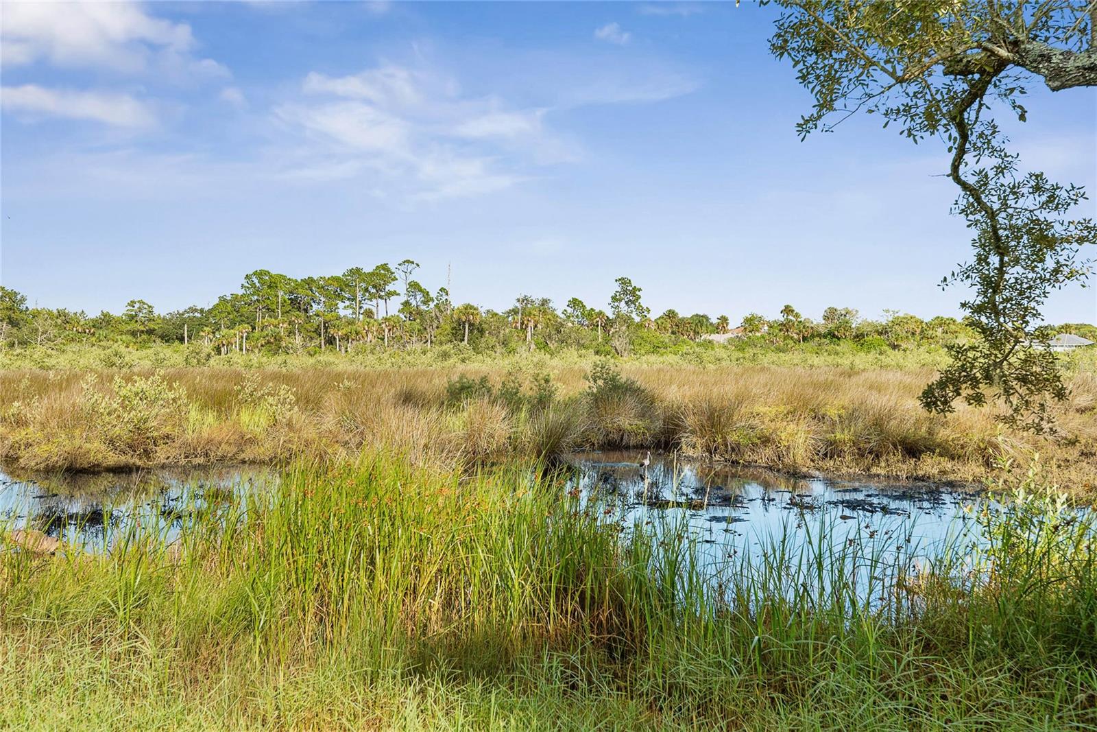 Image 92 of 98 For 68 Colechester Lane