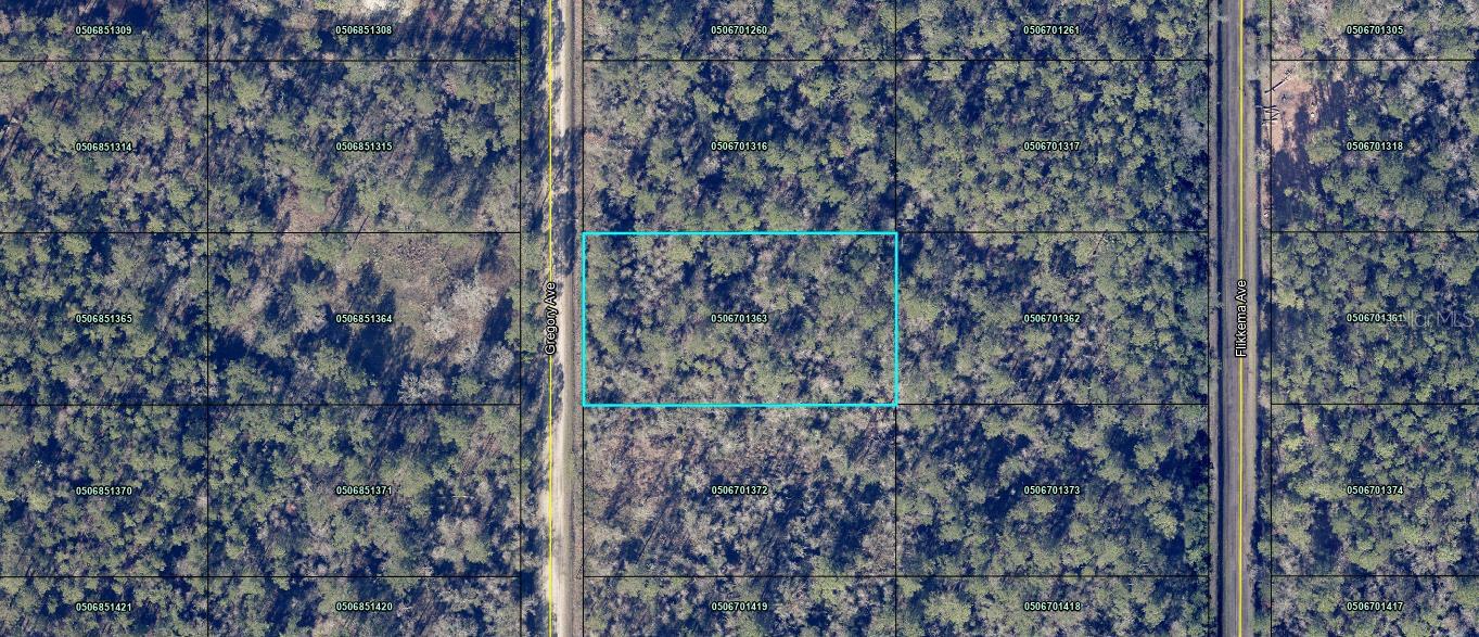 Details for  Gregory Ave  , HASTINGS, FL 32145