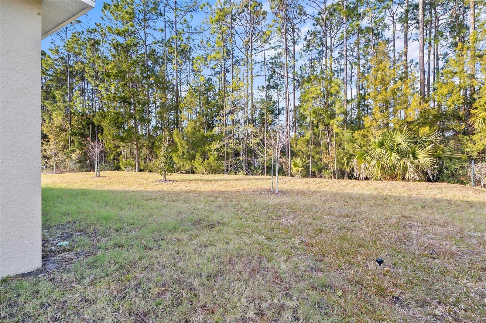 Image 64 of 64 For 91 Raemoor Drive
