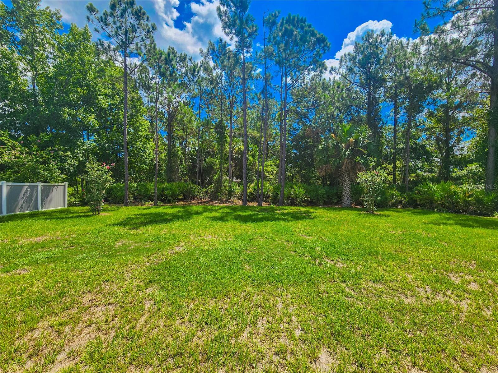 Image 50 of 55 For 208 Birchwood Drive
