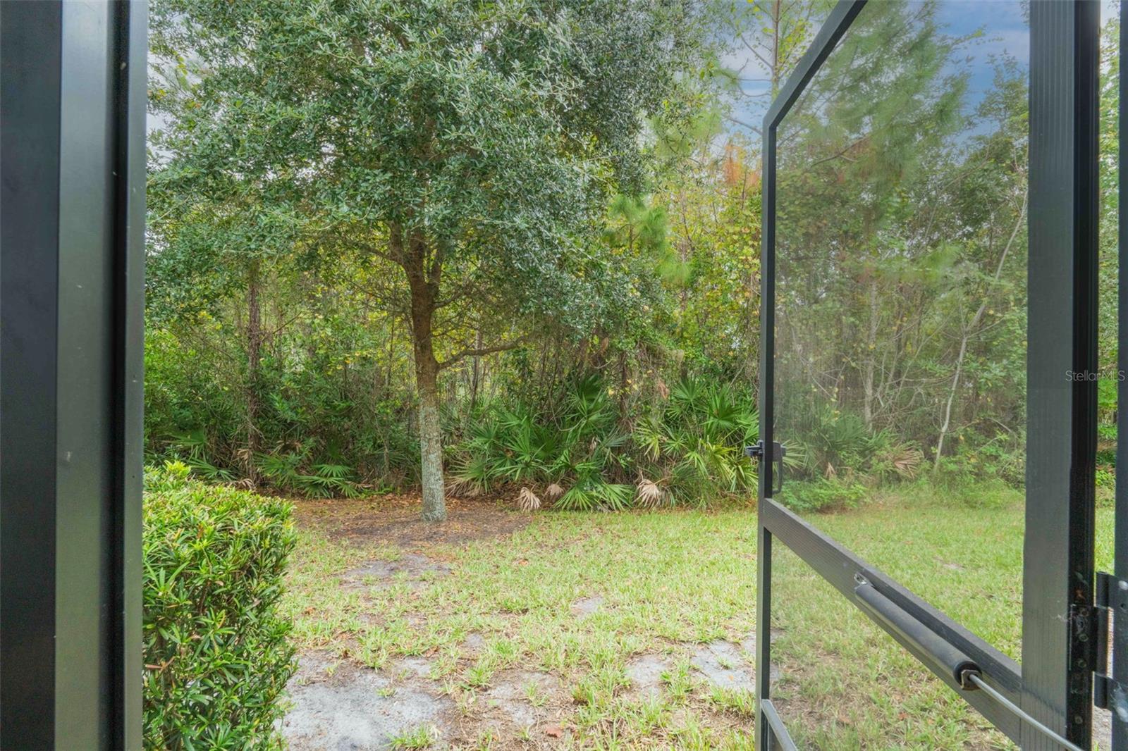 Image 32 of 43 For 20 Pindo Palm Drive