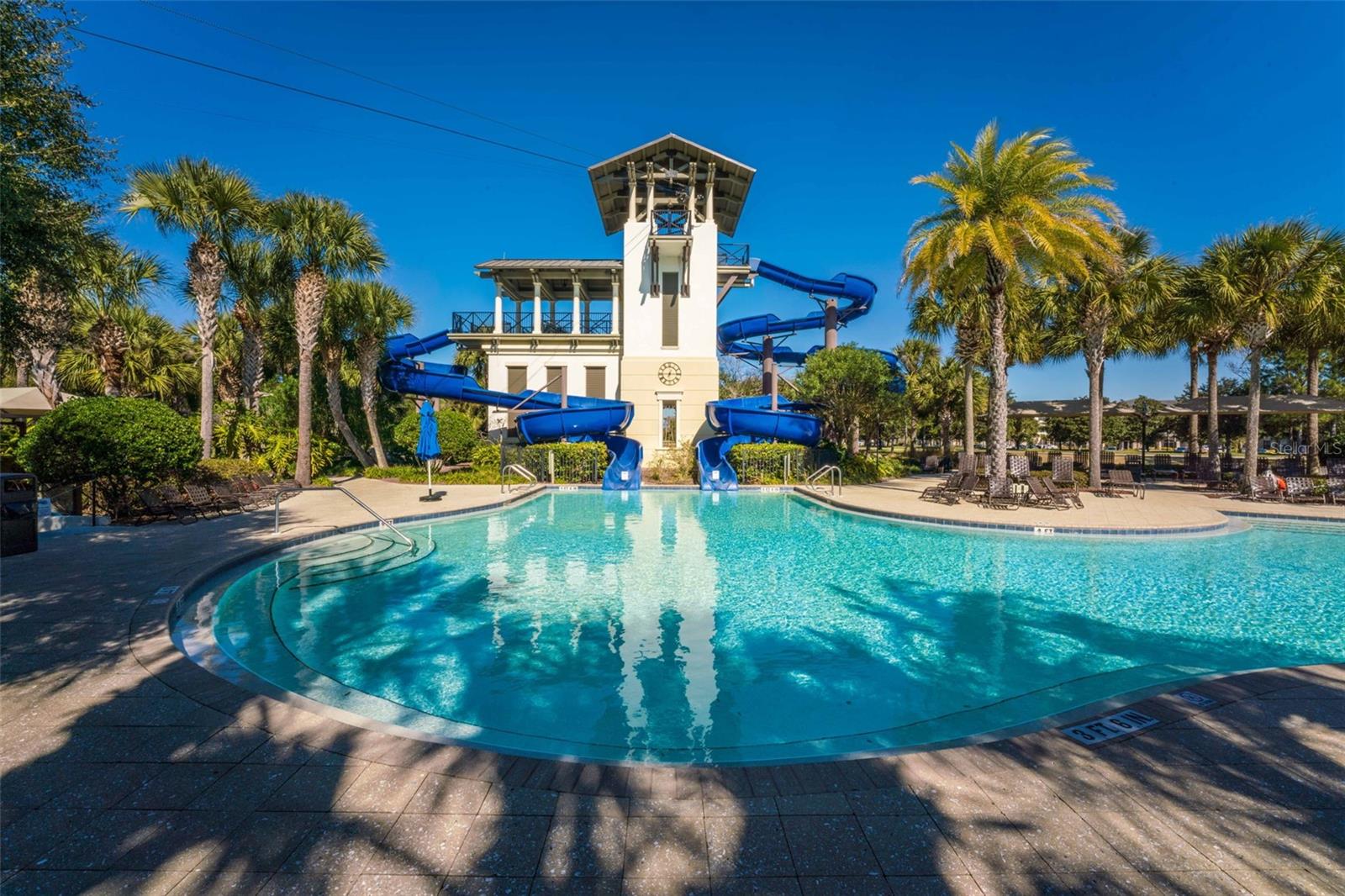 Image 39 of 43 For 20 Pindo Palm Drive