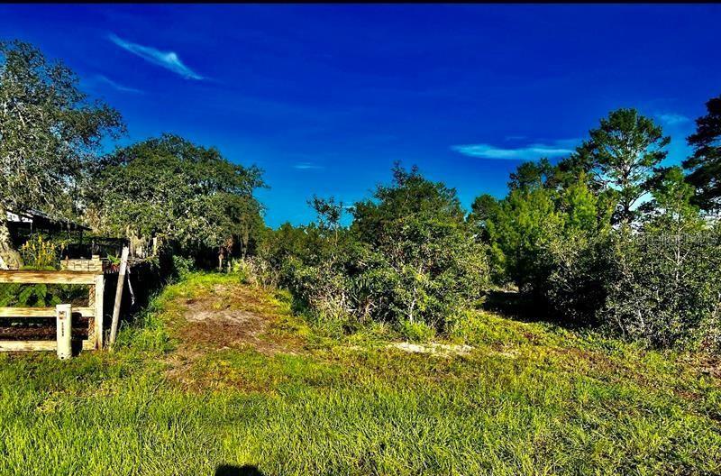 Image 2 of 10 For 10661 Orange Blossom Boulevard