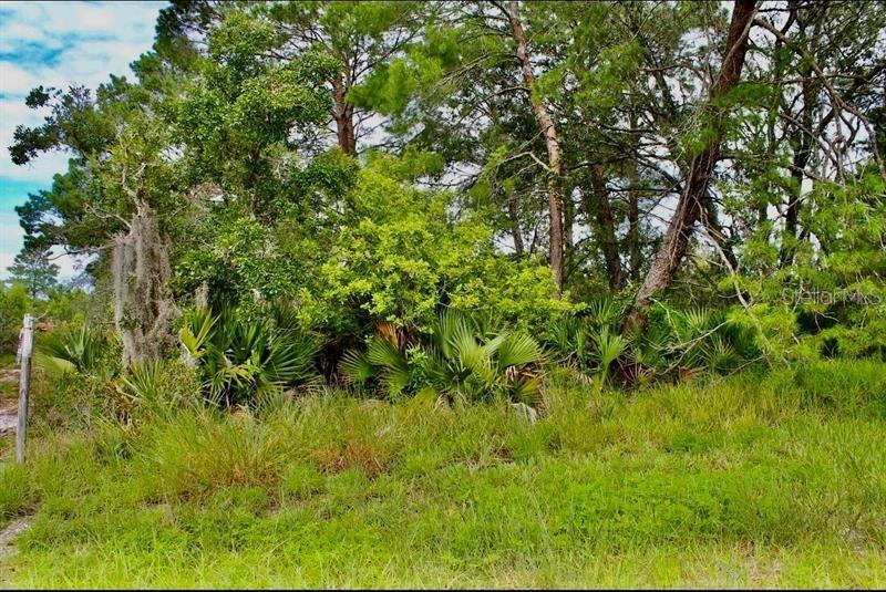 Image 4 of 10 For 10661 Orange Blossom Boulevard