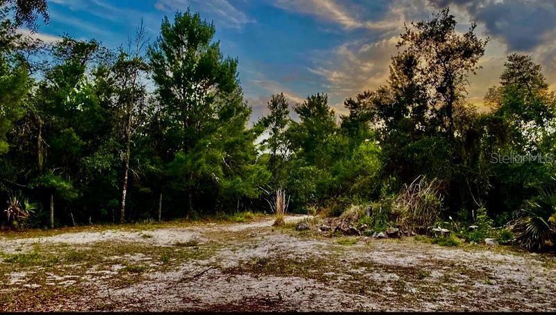 Image 5 of 10 For 10661 Orange Blossom Boulevard