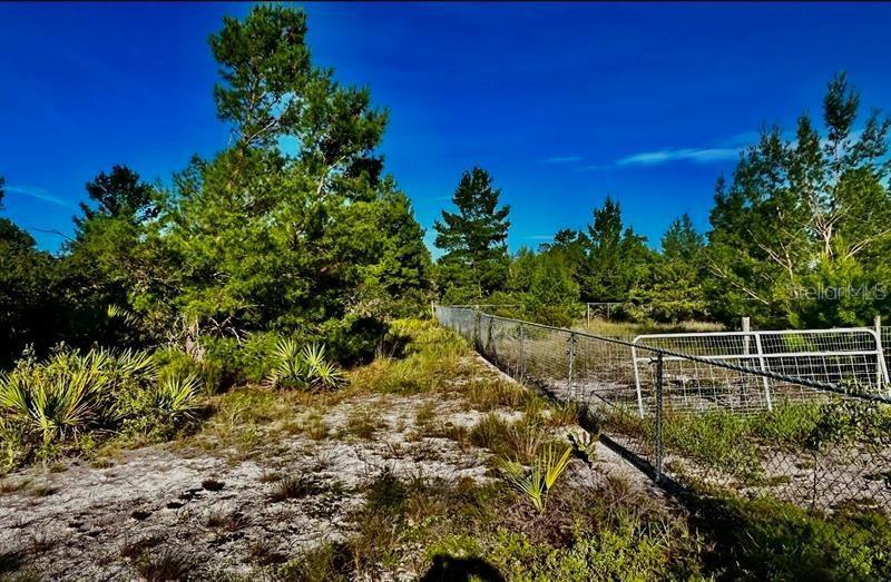 Image 6 of 10 For 10661 Orange Blossom Boulevard