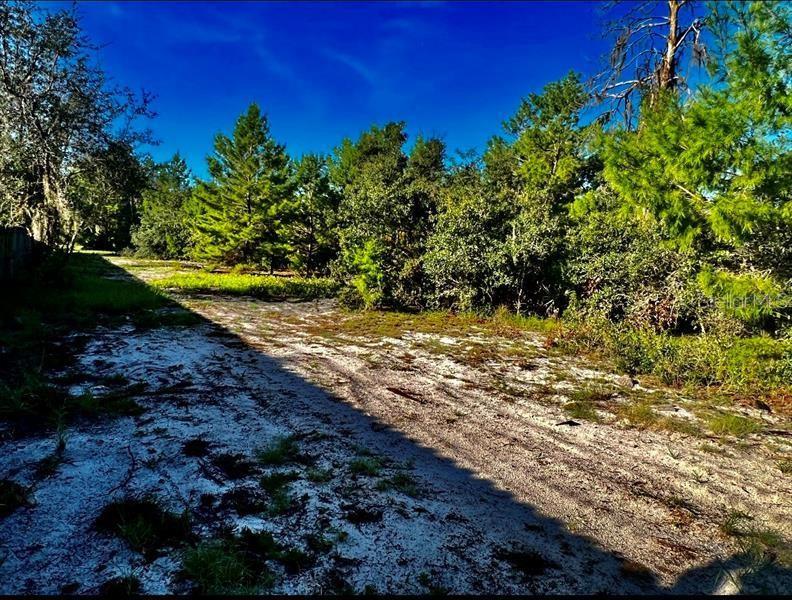 Image 7 of 10 For 10661 Orange Blossom Boulevard