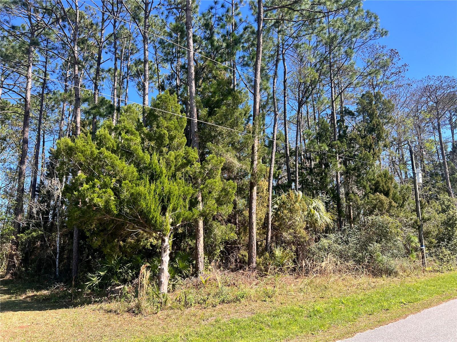 Details for 179 Ullian Trail, PALM COAST, FL 32164