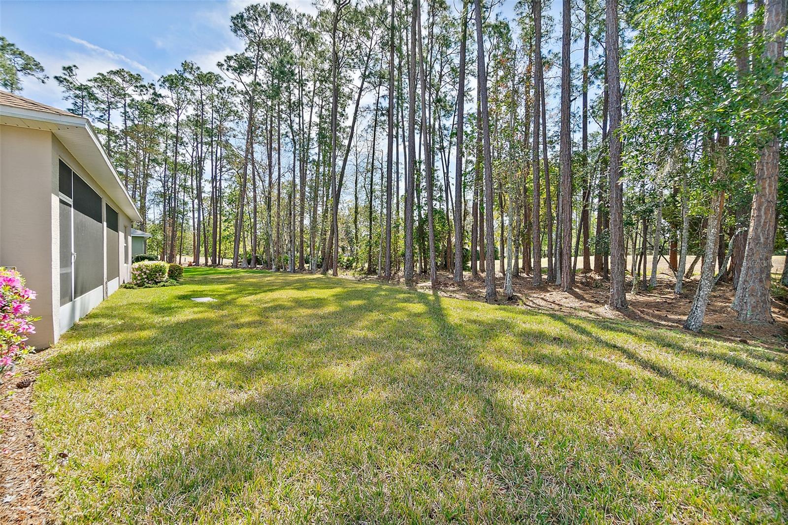 Image 9 of 34 For 20 Elias Lane