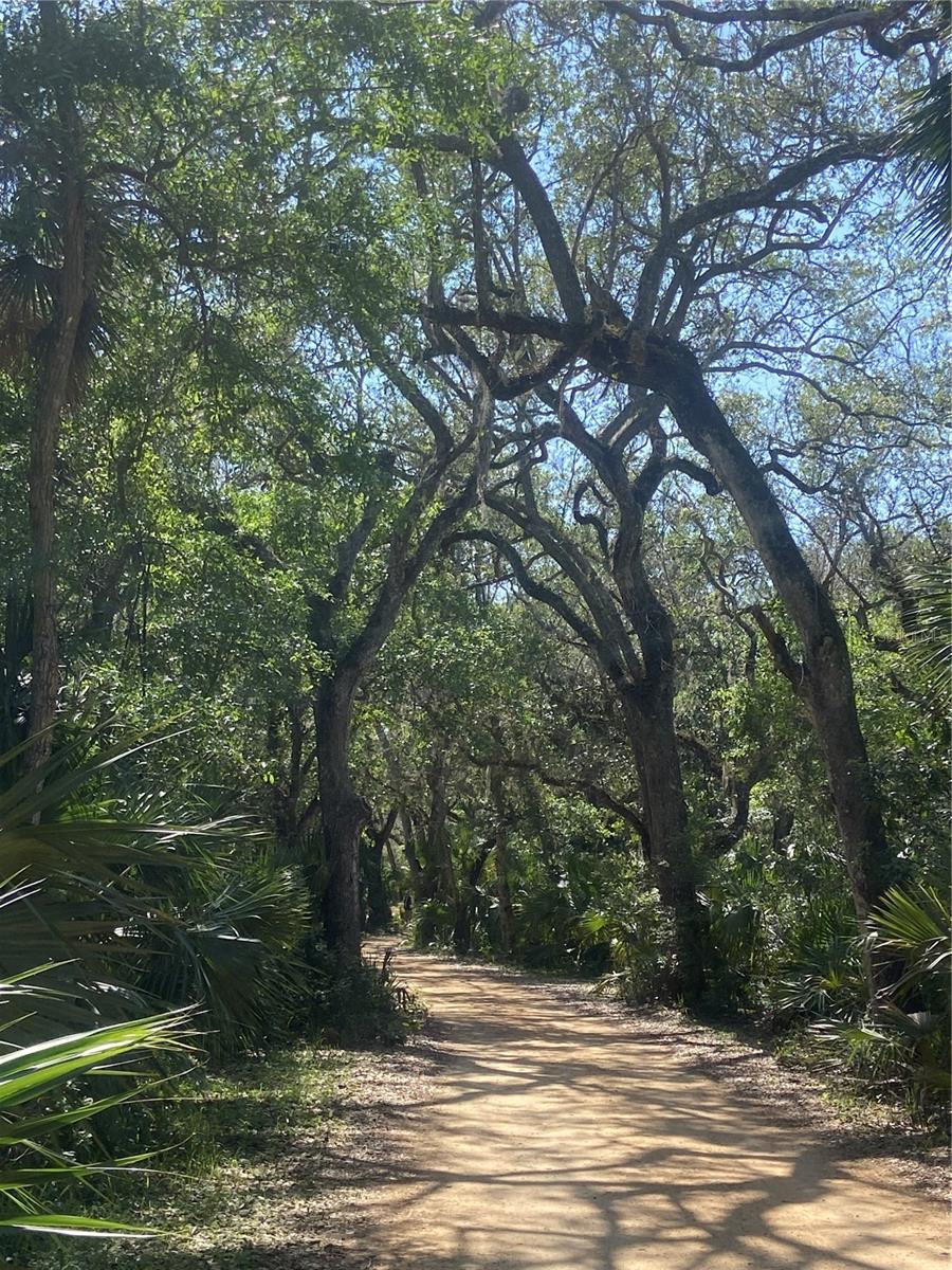 Image 67 of 90 For 68 Los Lagos Boulevard