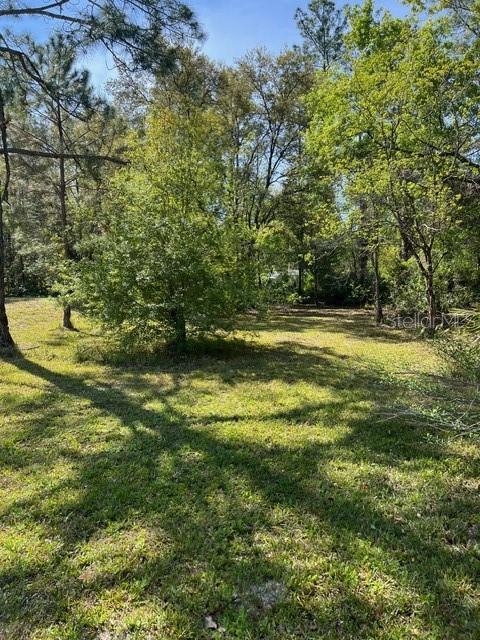 Image 11 of 14 For 4535 Calvin Street