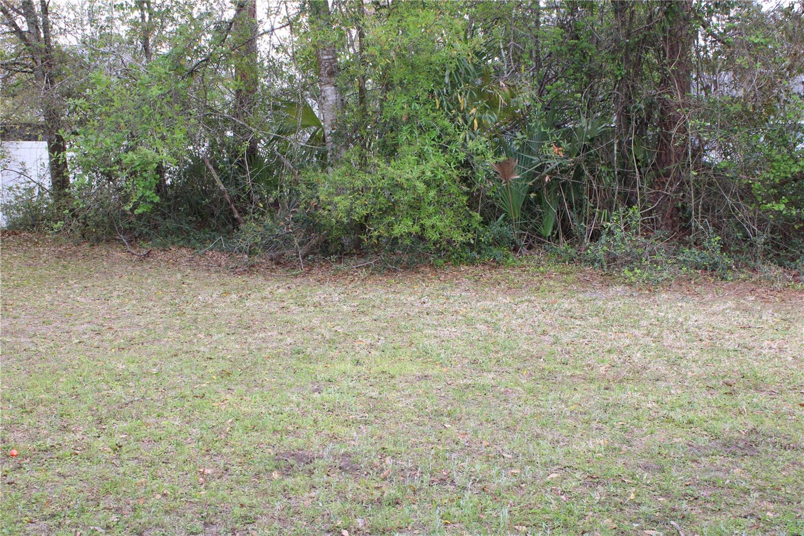 Image 15 of 16 For 165 Plain View Drive B