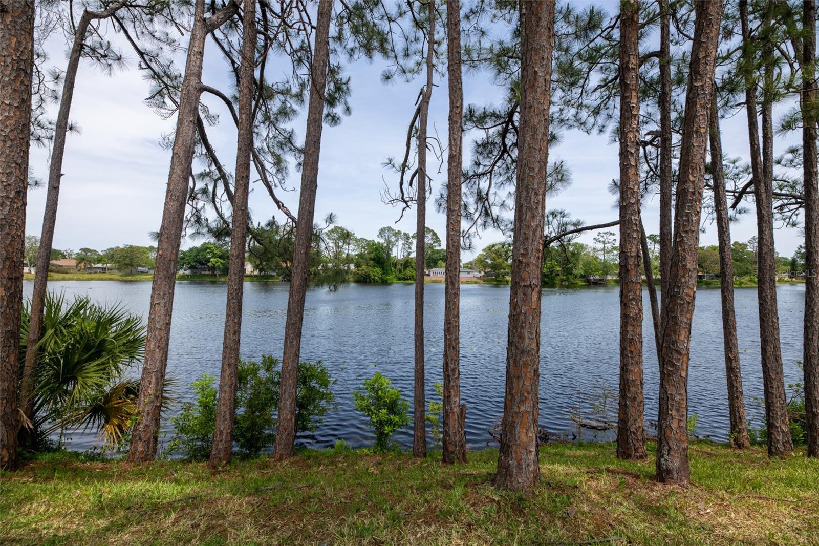 Image 25 of 31 For 9 Kings Colony Court N