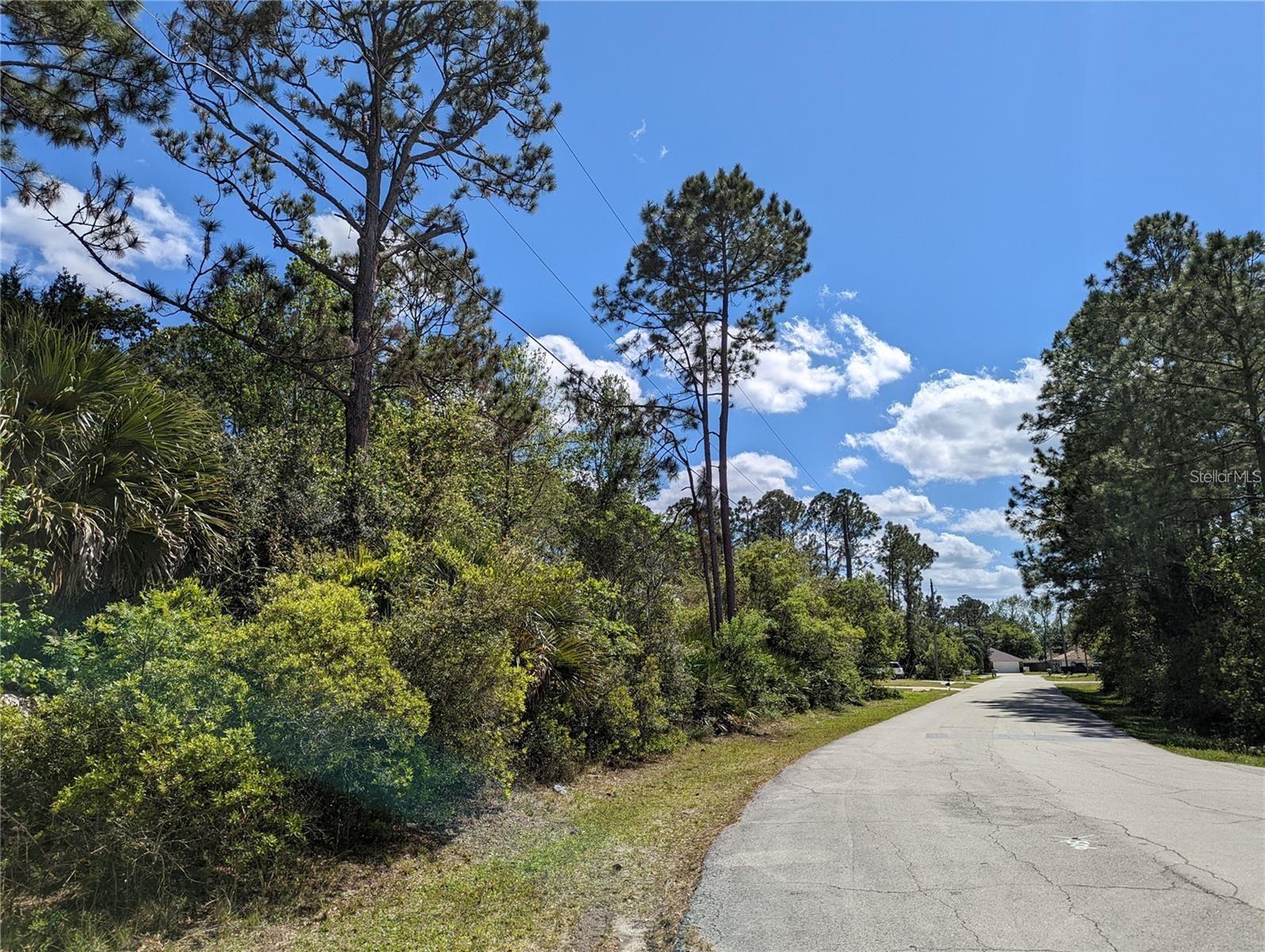Image 2 of 12 For 81 Pine Haven Dr