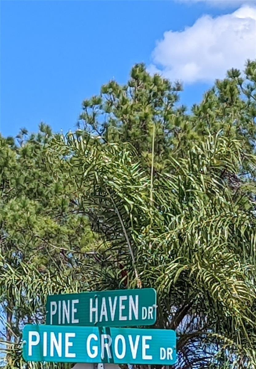 Image 4 of 12 For 81 Pine Haven Dr