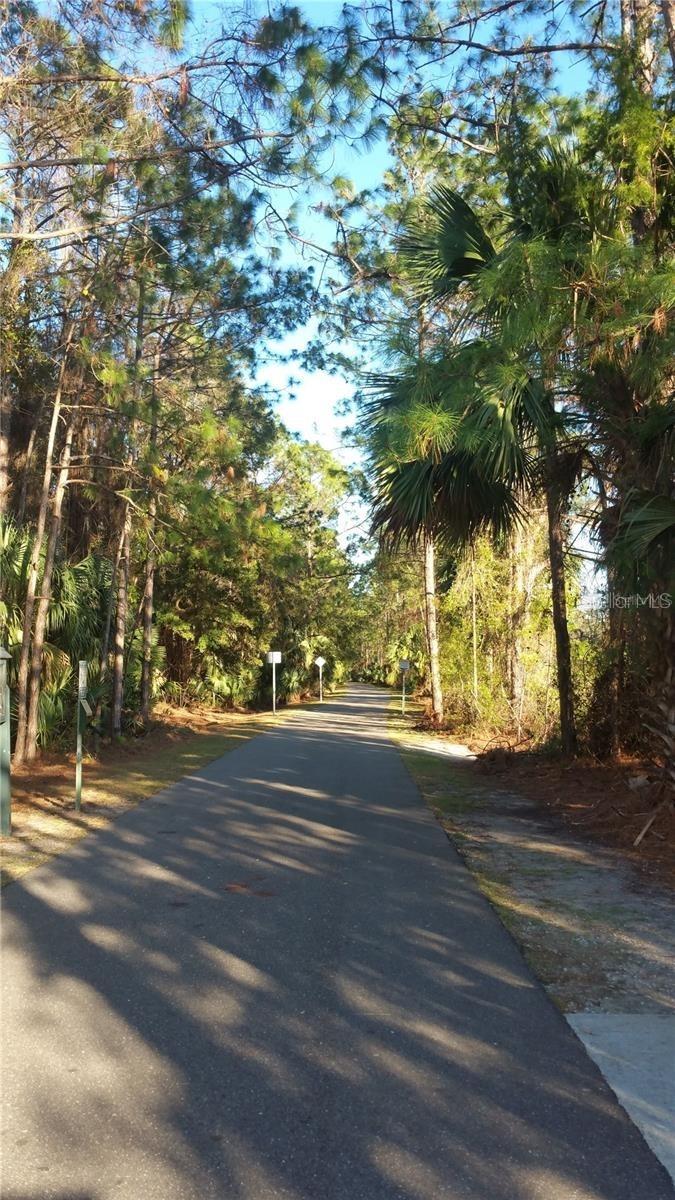 Image 6 of 12 For 81 Pine Haven Dr