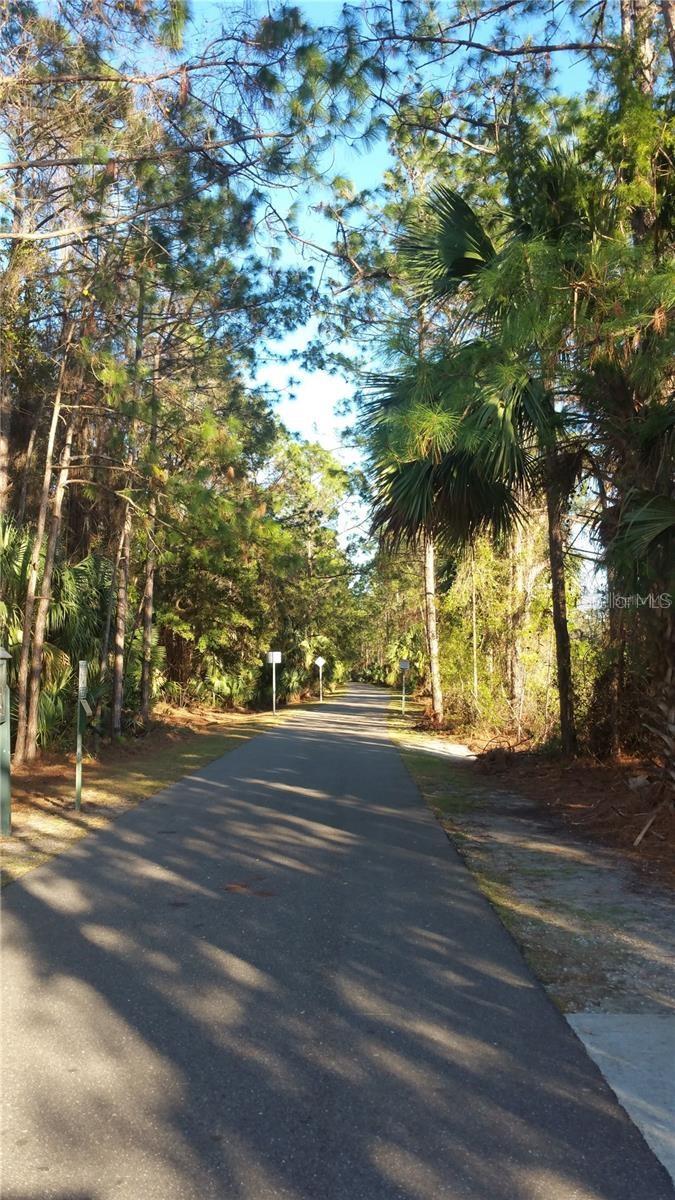 Image 9 of 12 For 81 Pine Haven Dr