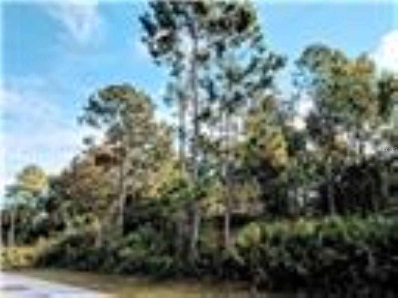 Details for 83 Pine Haven Dr, PALM COAST, FL 32164