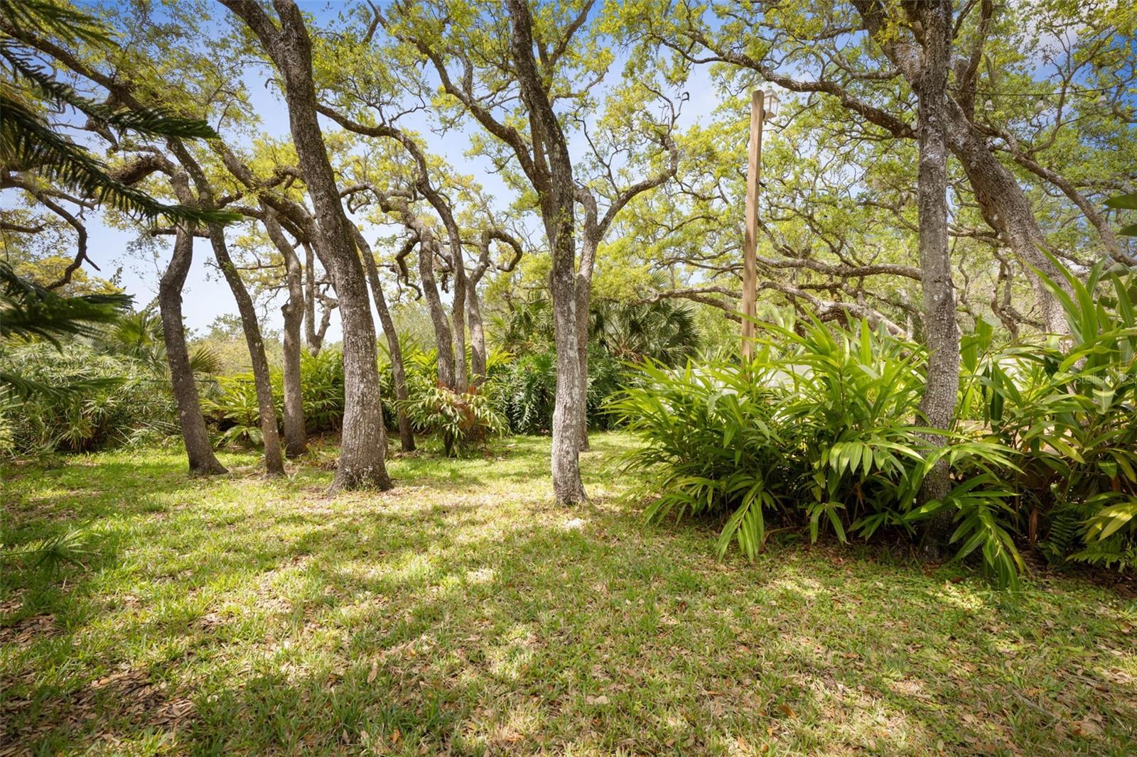 Image 30 of 63 For 1440 Flagler Avenue