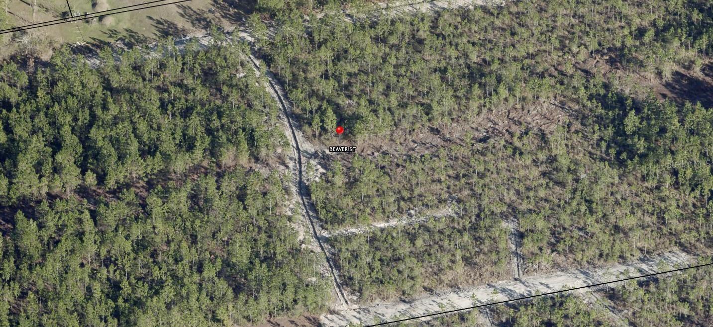 Listing Details for Beaver Street, JACKSONVILLE, FL 32234