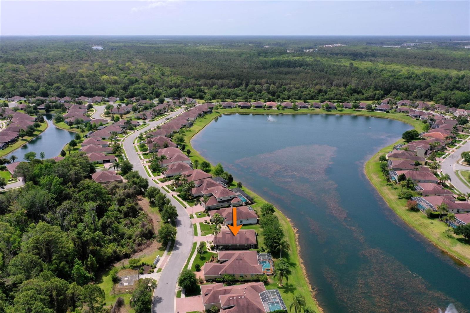 Image 51 of 68 For 88 Arena Lake Drive