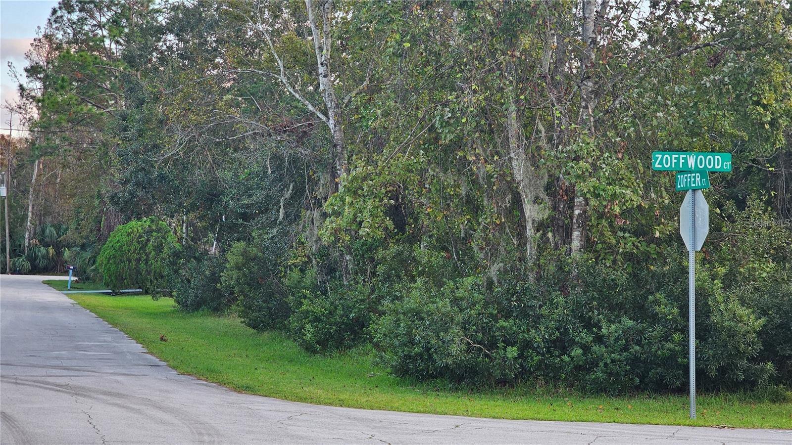 Image 6 of 6 For 1 Zoffwood Court