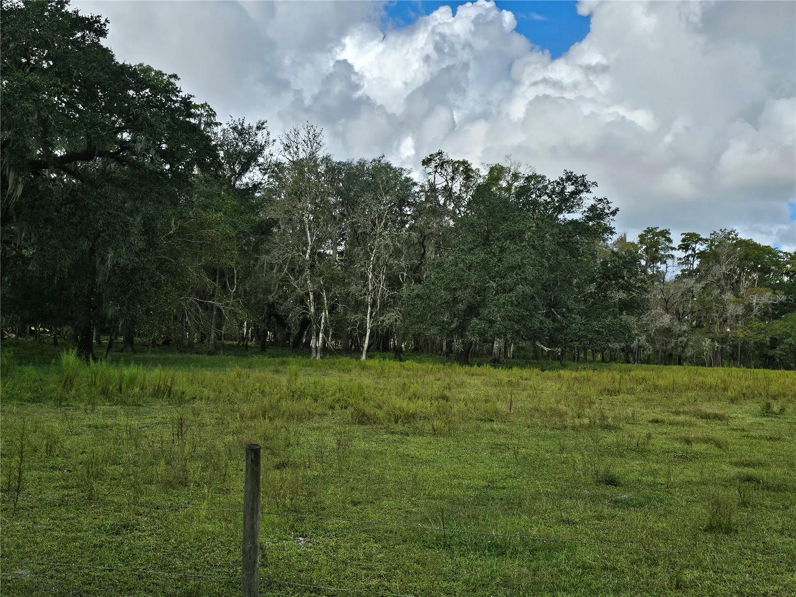 Image 6 of 9 For 00 Cr65  