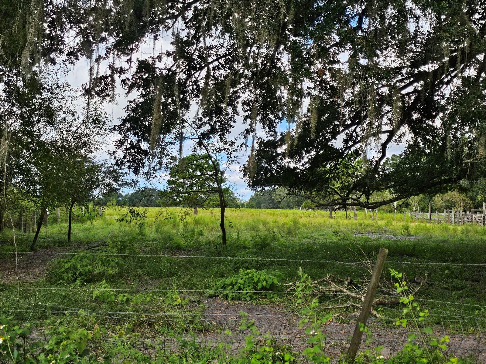 Details for 000 Cr65  , BUNNELL, FL 32110