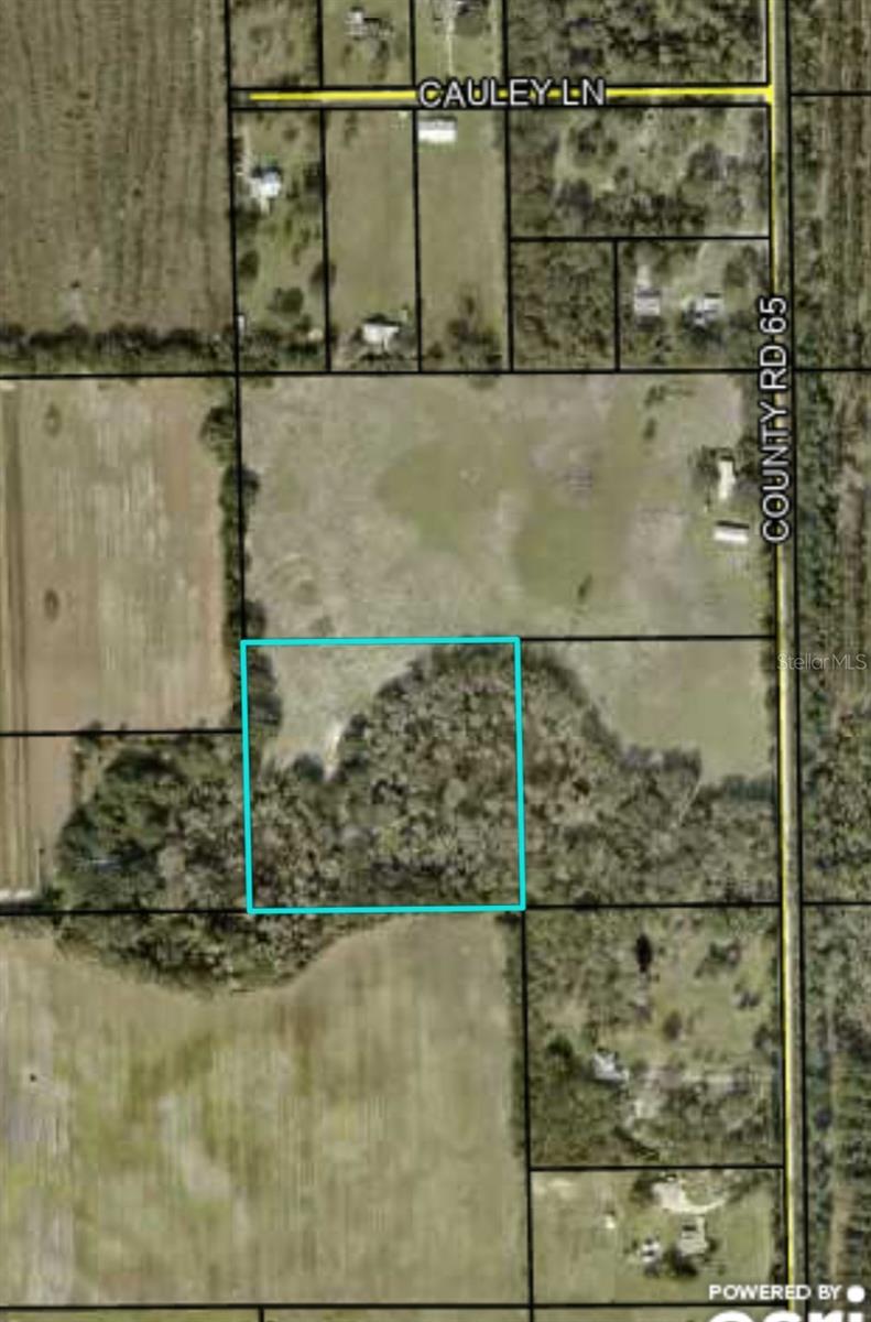Image 4 of 4 For 000 Cr65  