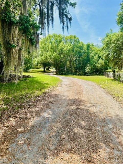 Image 4 of 25 For 595 Raulerson No 1 Road