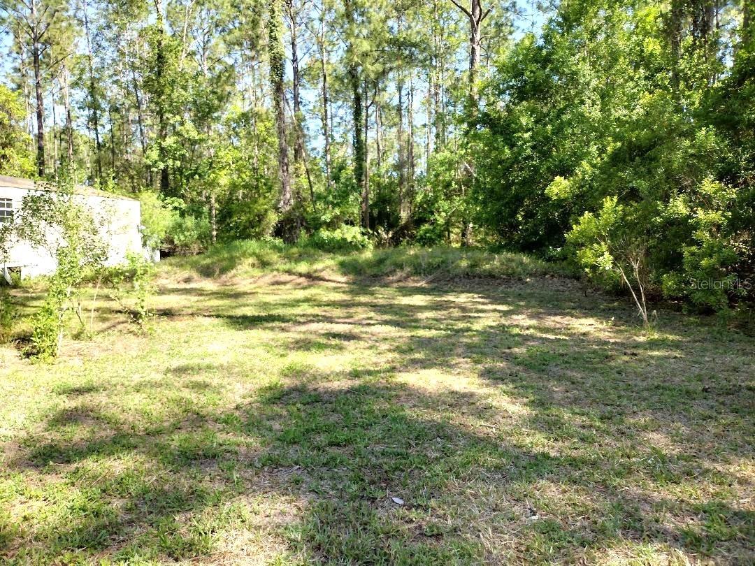 Image 9 of 19 For 1215 Beech Boulevard