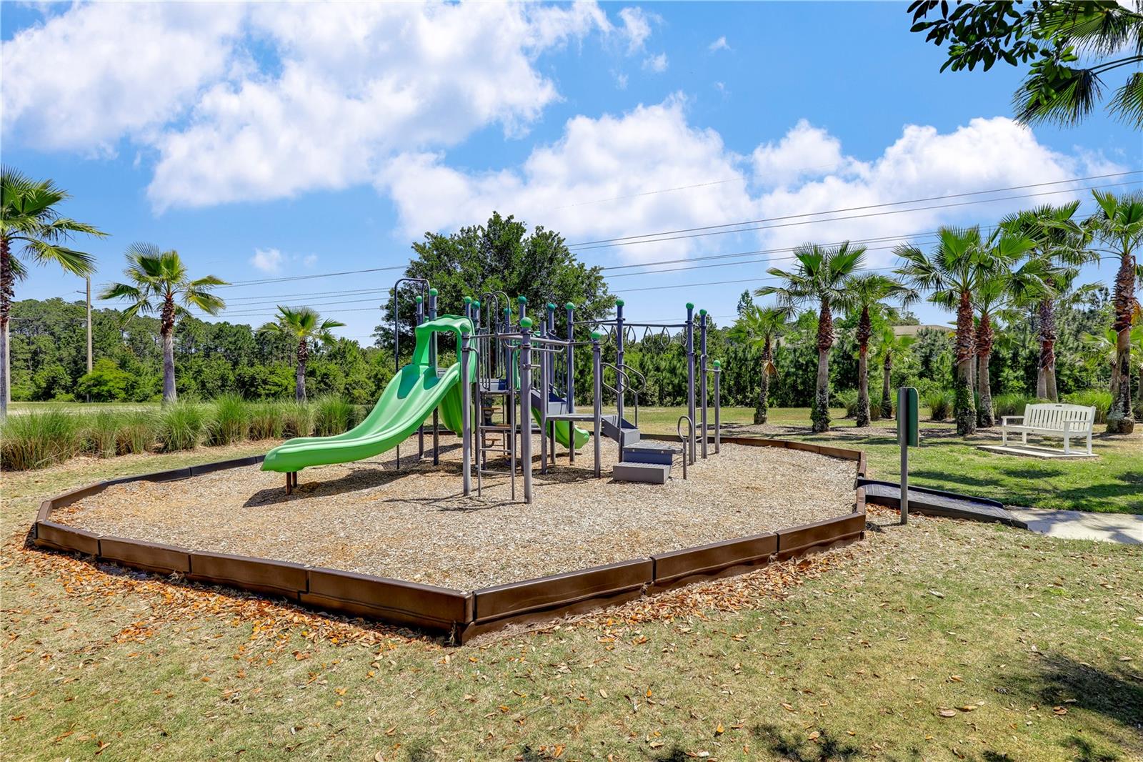 Image 63 of 72 For 45 King Palm Court