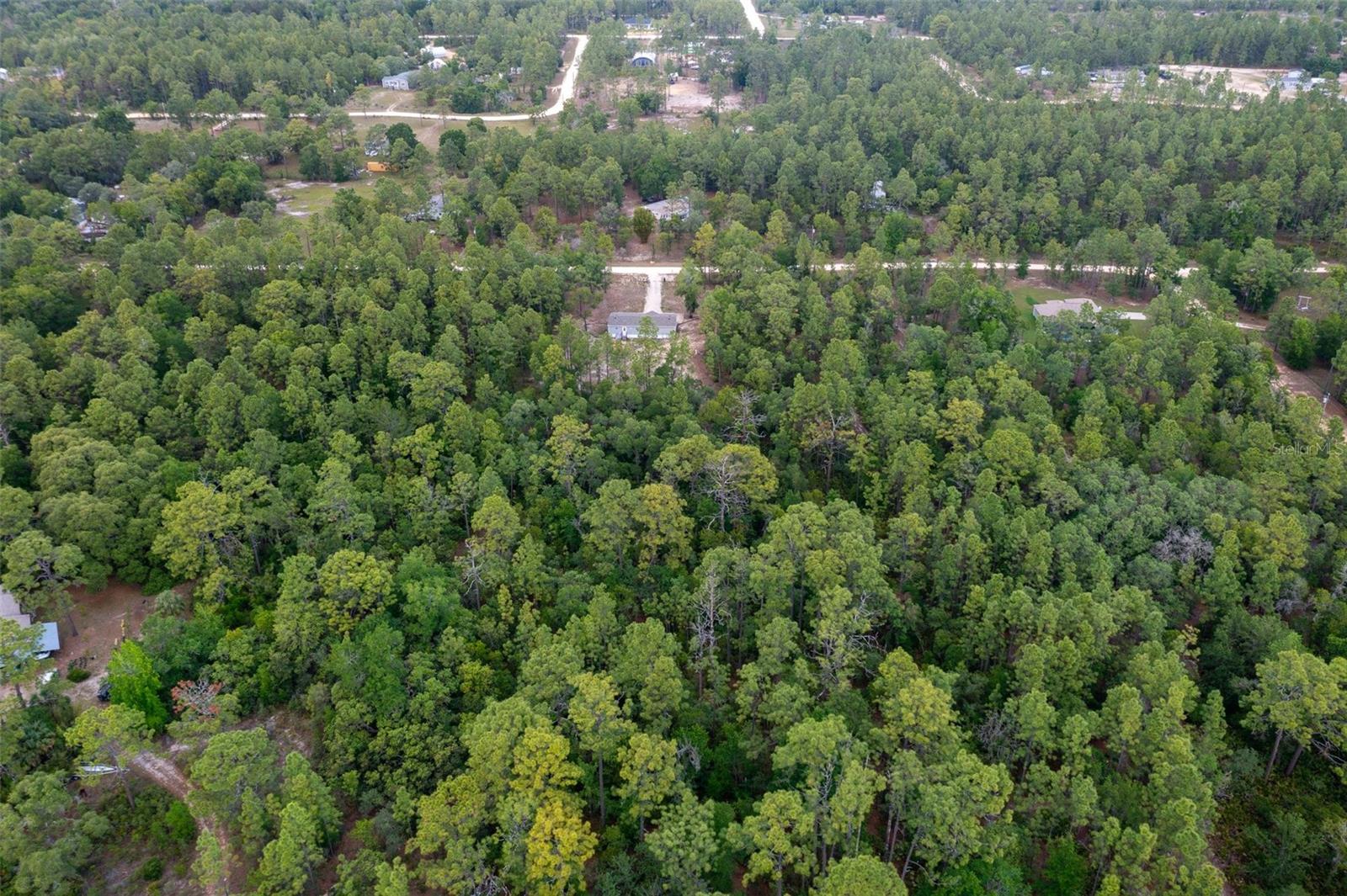 Listing photo id 38 for 7538 Organdy Lane