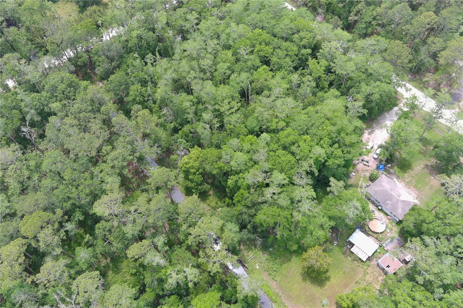 Image 6 of 7 For 1823 Honeytree Street