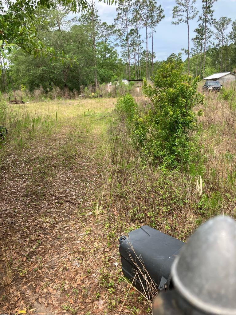 Details for 10775 Amos Avenue, HASTINGS, FL 32145