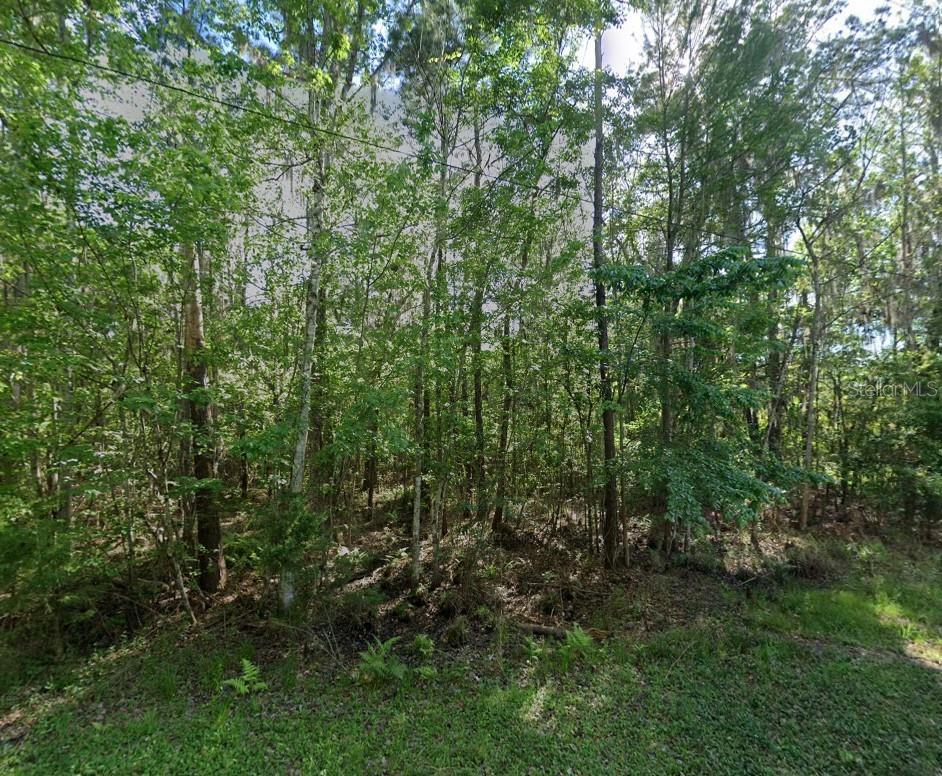 Image 4 of 18 For 21779 115th Avenue