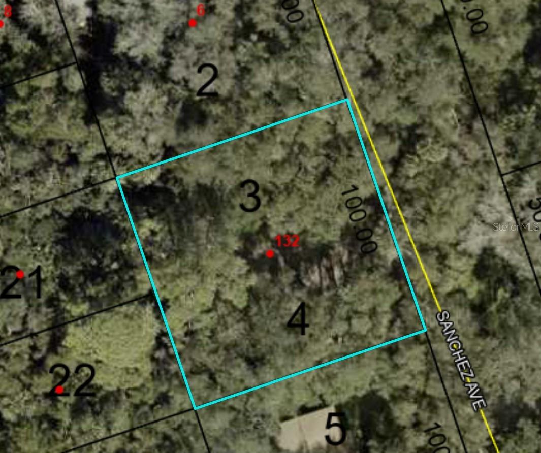 Details for 132 Sanchez Avenue, PALM COAST, FL 32137
