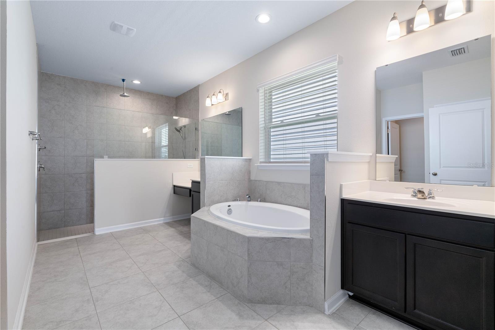 Image 31 of 61 For 133 Wood Stork Lane