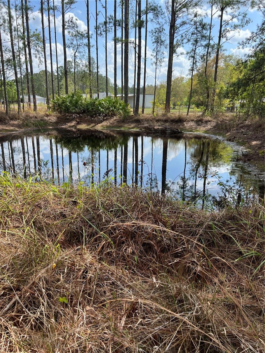 Image 82 of 84 For 49 Louisiana Drive